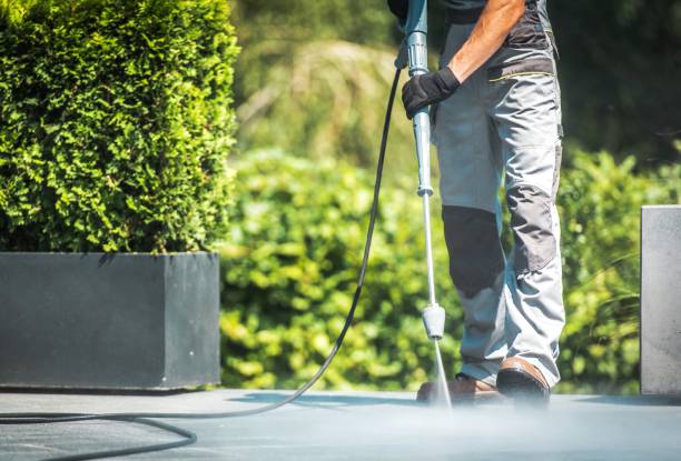 Best Paint Preparation  in Fredericksburg, VA